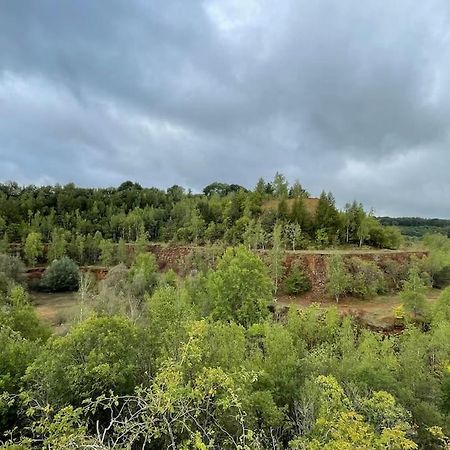 Studio Situe Aux Abords De La Foret Avec Parking Lägenhet Differdange Exteriör bild