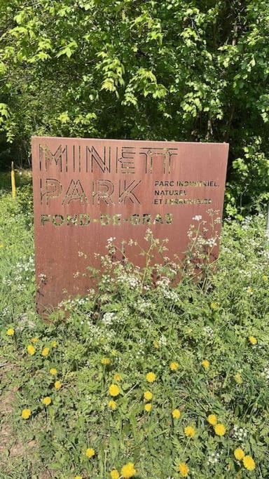 Studio Situe Aux Abords De La Foret Avec Parking Lägenhet Differdange Exteriör bild